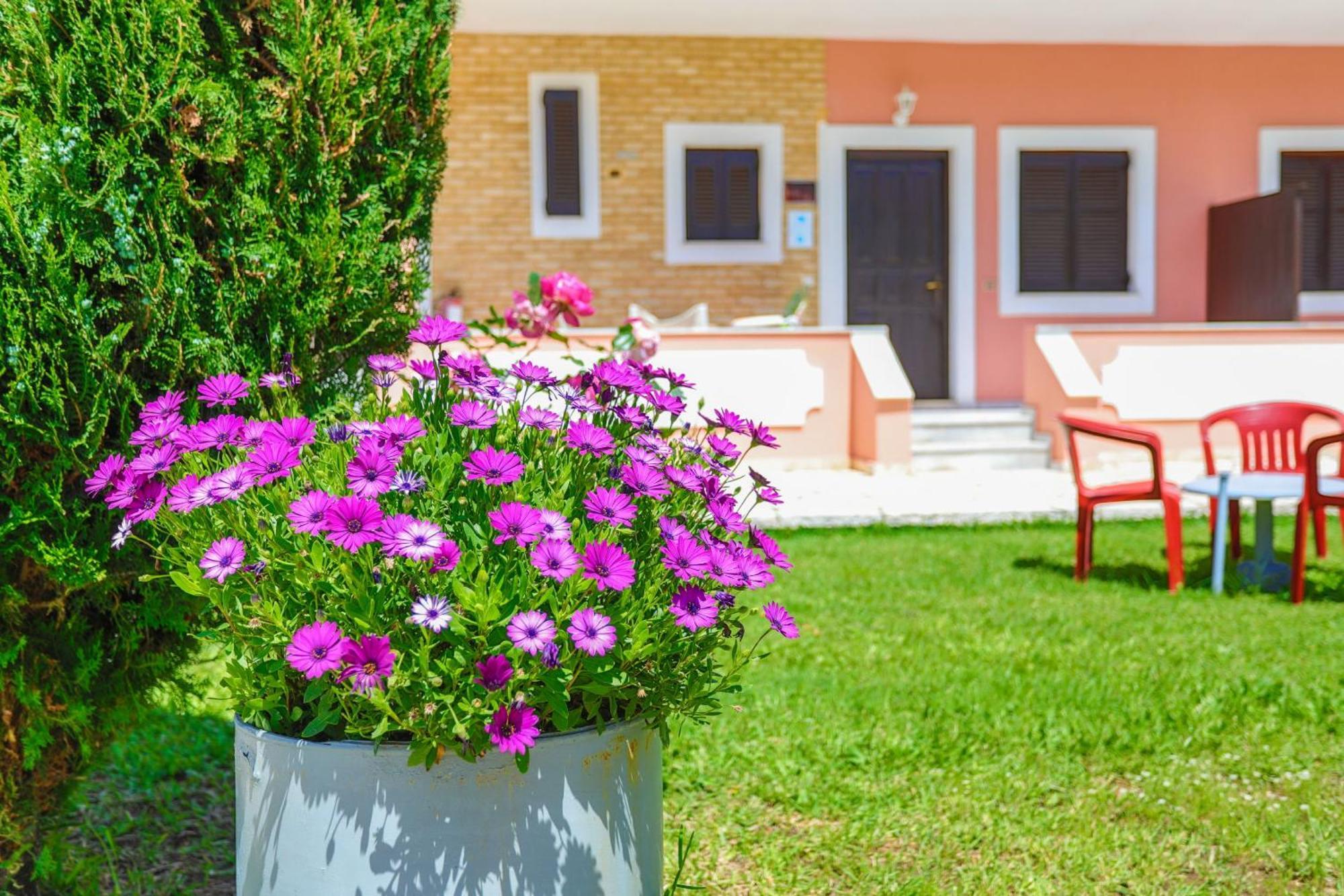 Amarylis Apartment Almiros Beach ภายนอก รูปภาพ